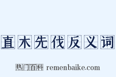直木先伐反义词是什么意思的图片